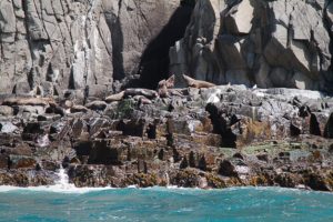 Alternate text for seals